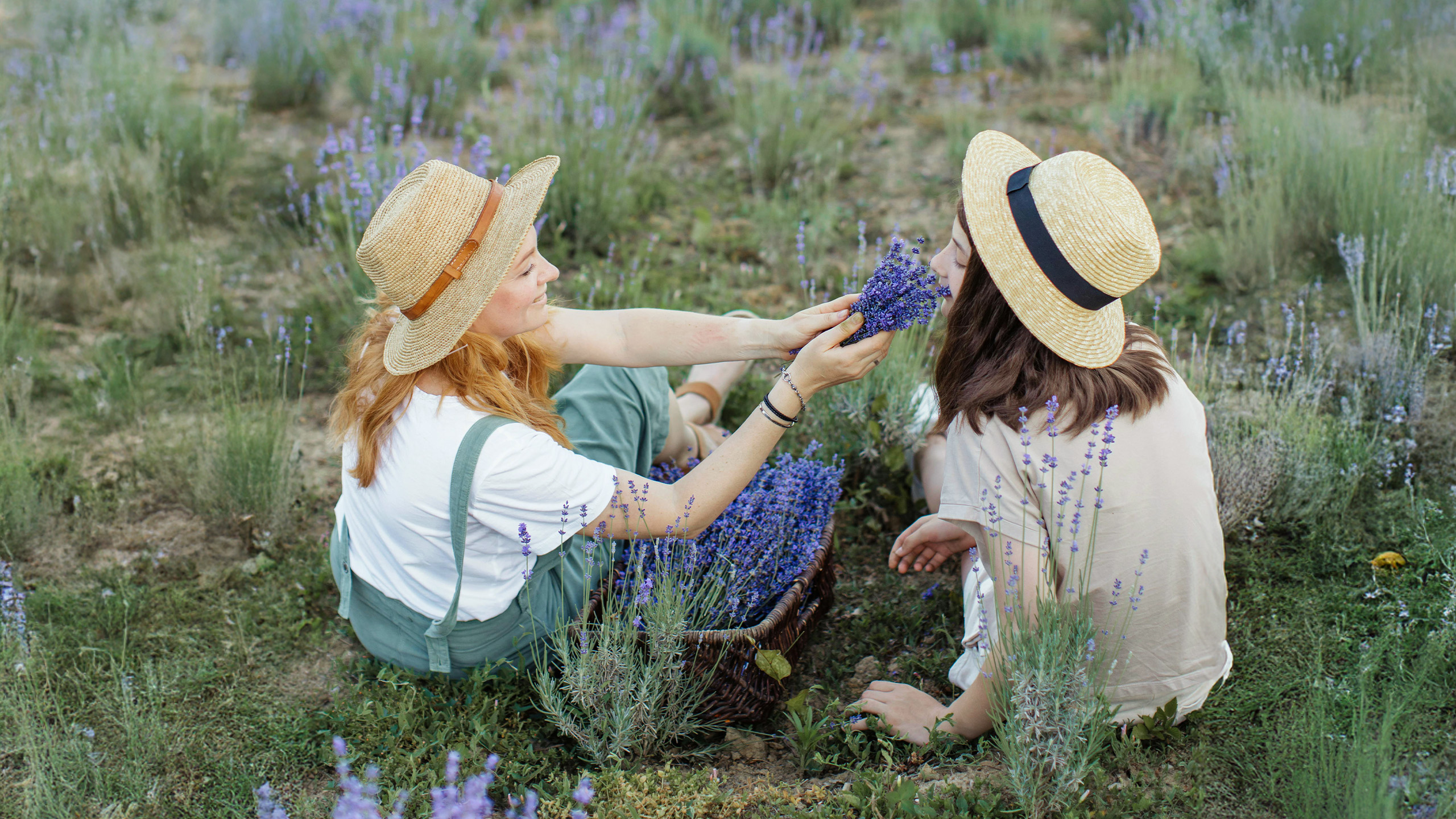 Two women in straw hats sit in a lavender field. One offers a lavender bouquet to the other, creating a serene and joyful summer scene.