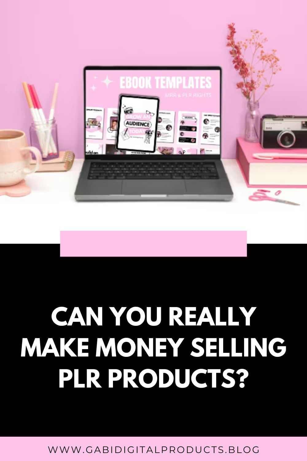 Can You Really Make Money Selling PLR Products?