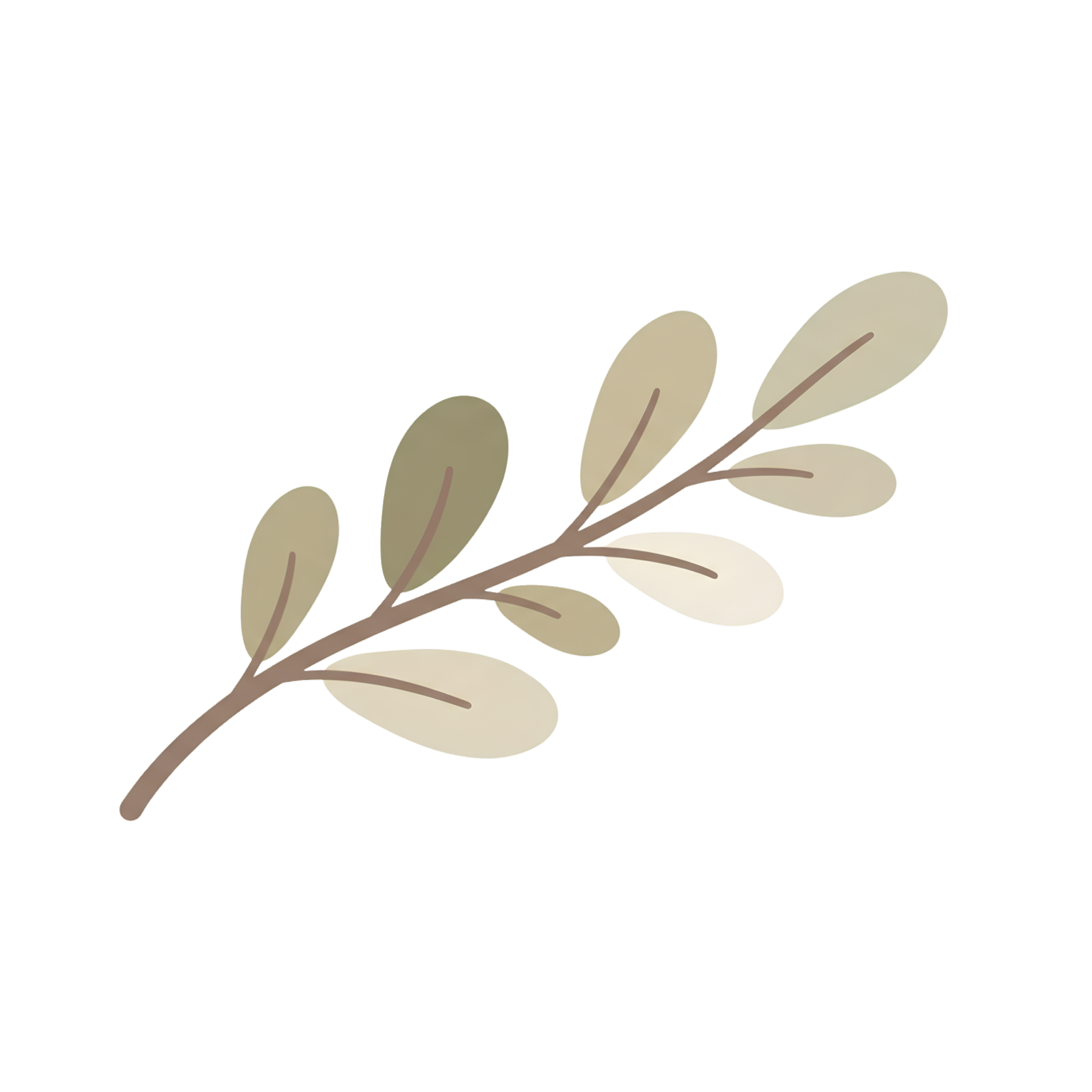 Hand-drawn earthy neutral branch illustration